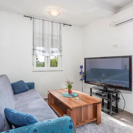 Apartment In Sveti Vid-Miholjice